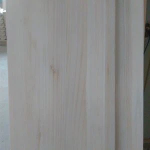 Paulownia odbor za smuči